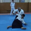IMG_1342